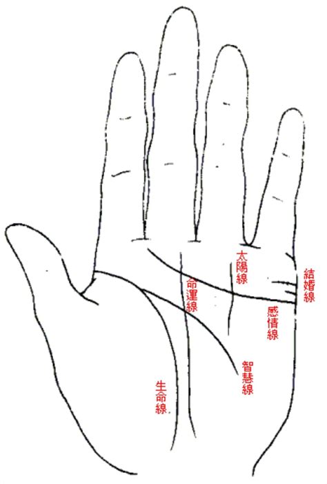 家風紋|【手相館】掌紋 (生命線、感情線、智慧線、婚姻線、太陽線、火。